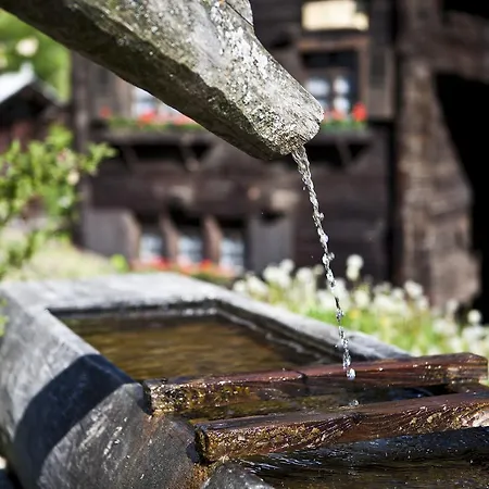 Schwarznase Appartamento