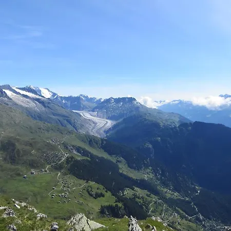 Schwarznase Lejlighed *