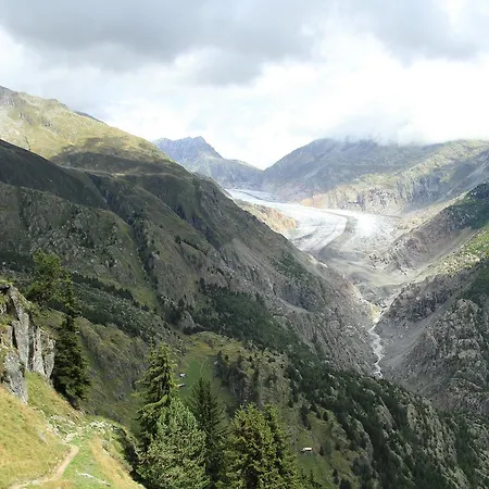 Schwarznase Blatten bei Naters