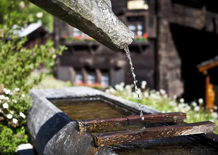 Schwarznase アパート