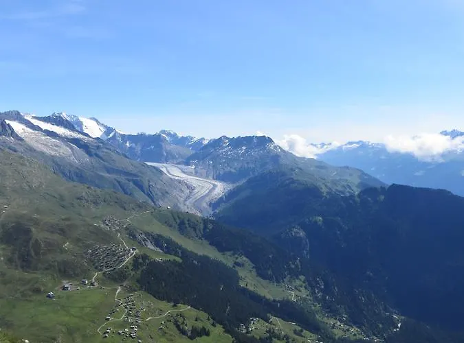 Schwarznase アパート *