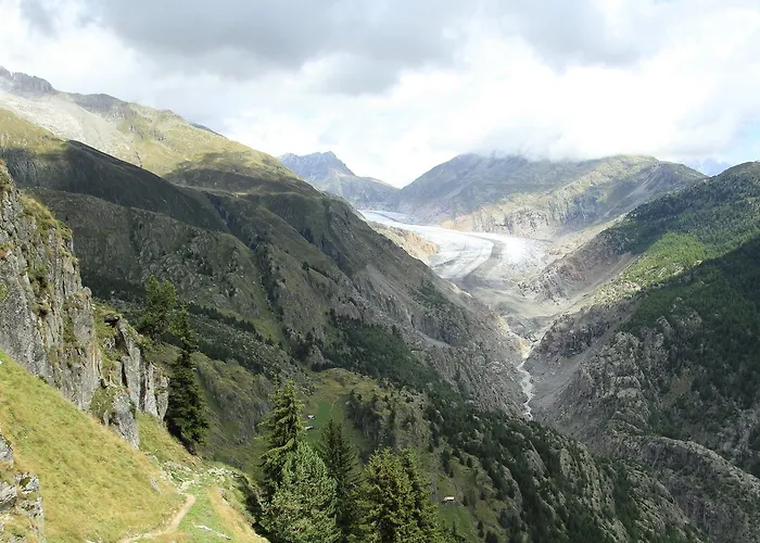 Schwarznase ナータース