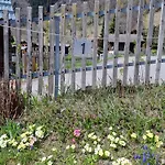 Schwarznase Appartement Blatten bei Naters